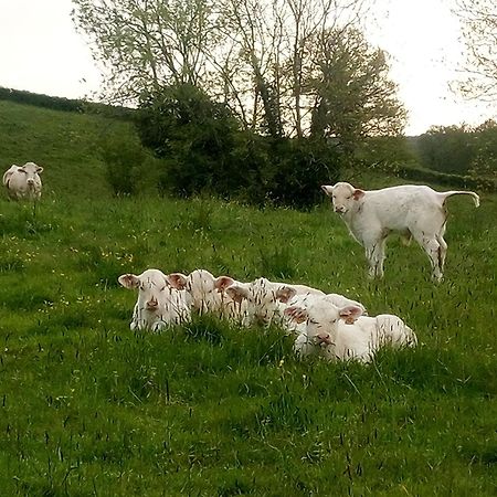 Gite A La Ferme Le Rousset Bagian luar foto