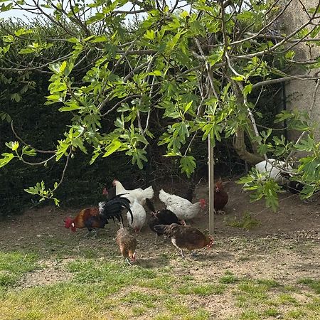 Gite A La Ferme Le Rousset Bagian luar foto